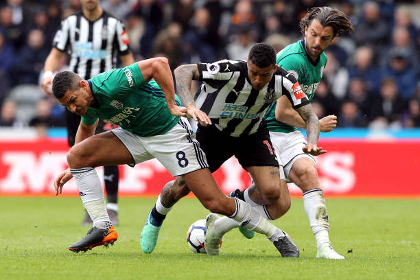 一个成功的 一个成功的